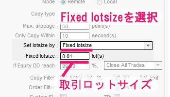 Set Lot size設定