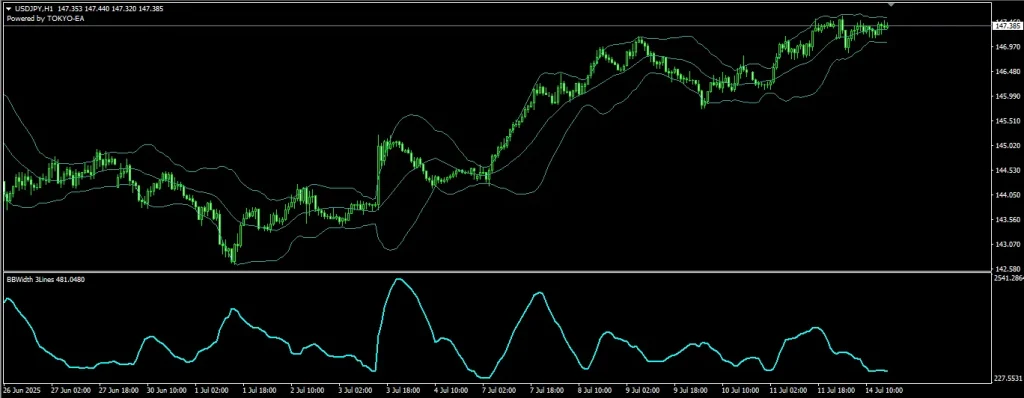 BBWidth3Line02